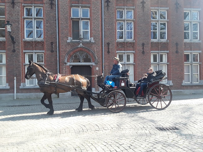 Horse Drawn Carriage Ride in Bruges 2