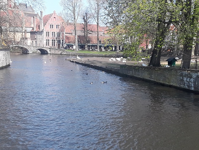 Bruges Lake of Love 1