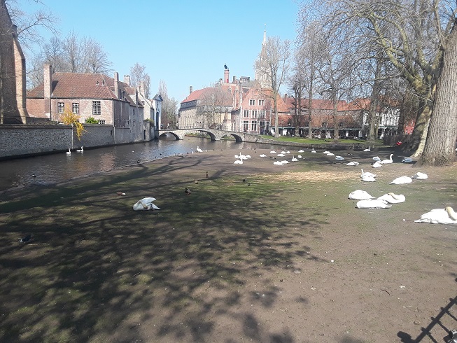 Bruges Lake of Love 2