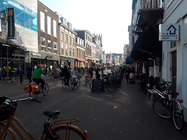 Bike Riding in Haarlem