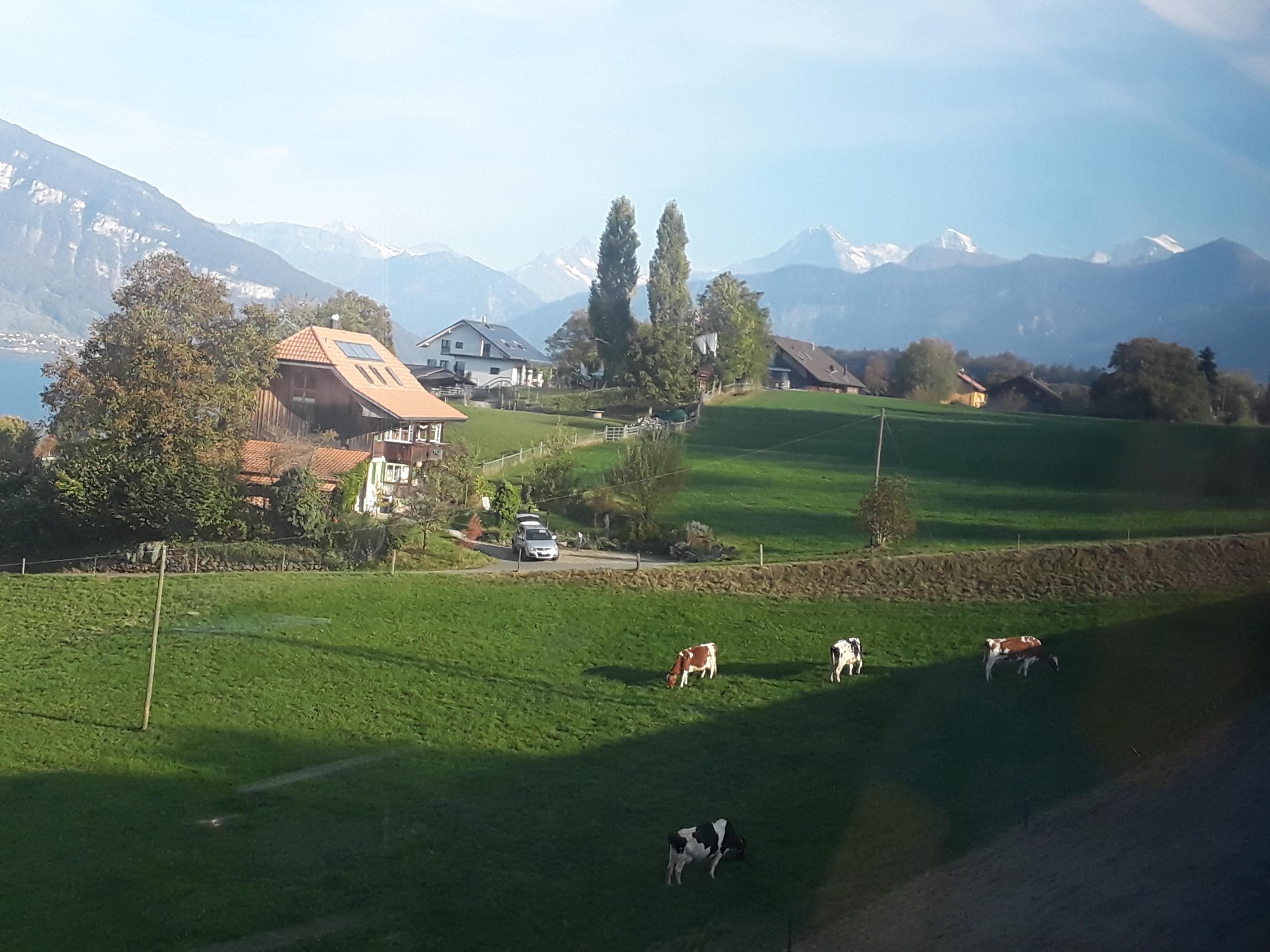 Swiss Alps 2
