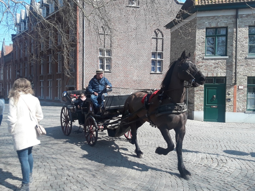 Horse Drawn Carriage 2