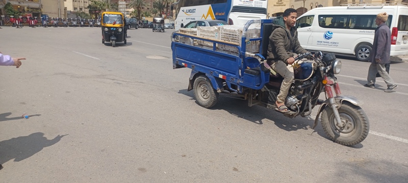 Cairo Around Town 1