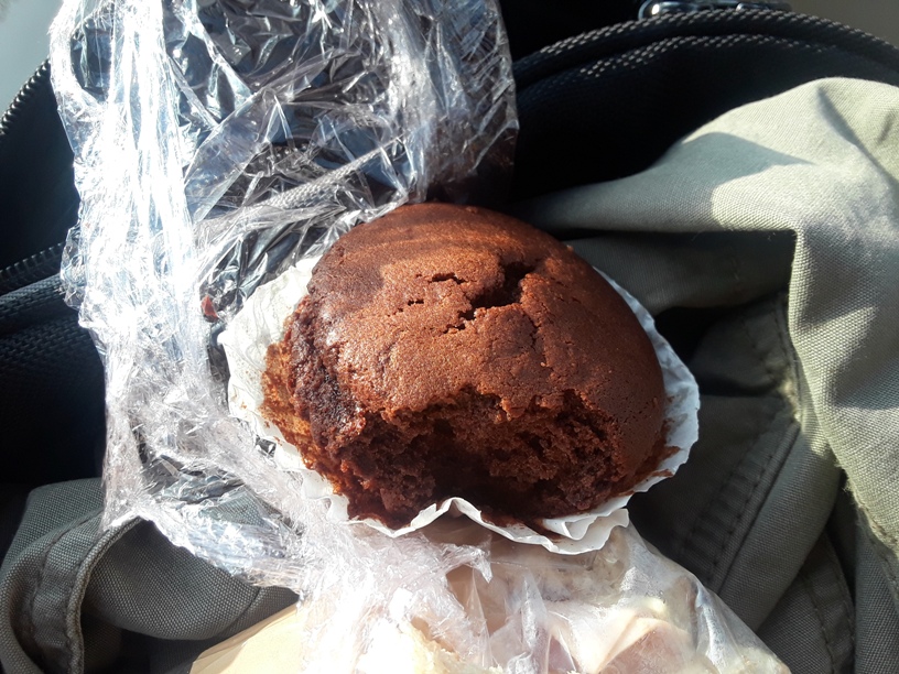 Coffee Shop Edible 2