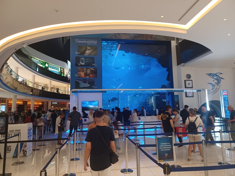 Dubai Mall Aquariuim 1