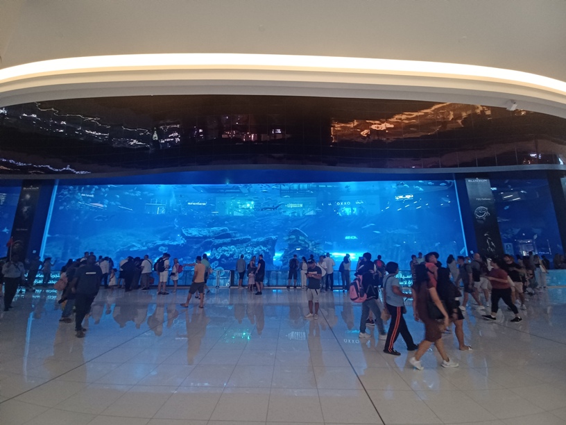 Dubai Mall Aquariuim 3