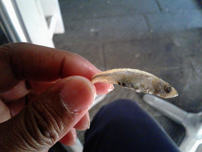 Fried Anchovie