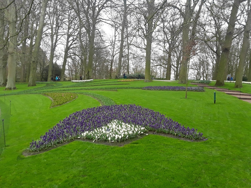 Keukenhof Gardens 3
