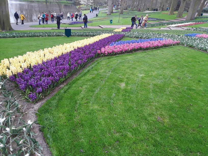 Keukenhof Gardens 5