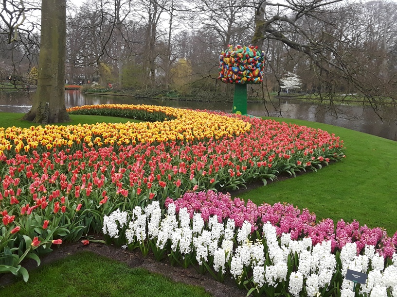 Keukenhof Gardens 7