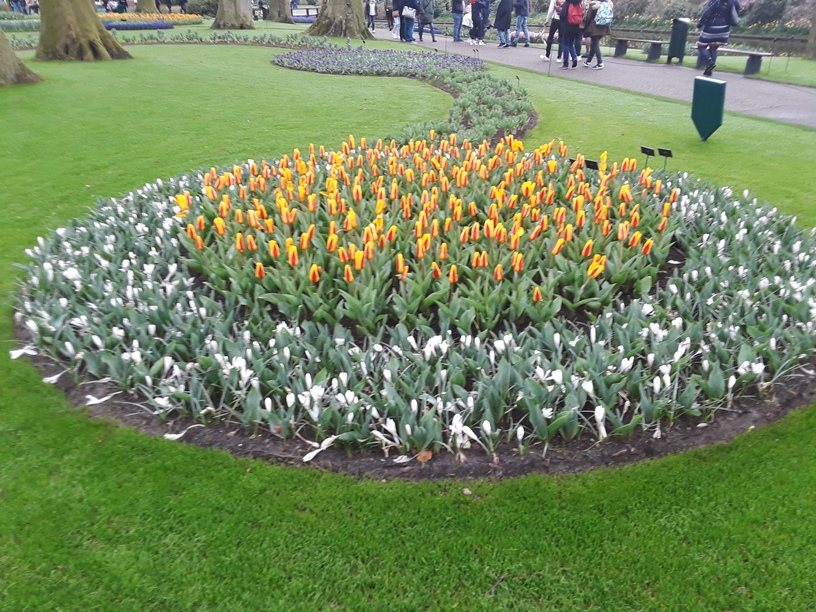 Keukenhof Gardens 9