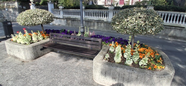 Lake Como Flowers 1