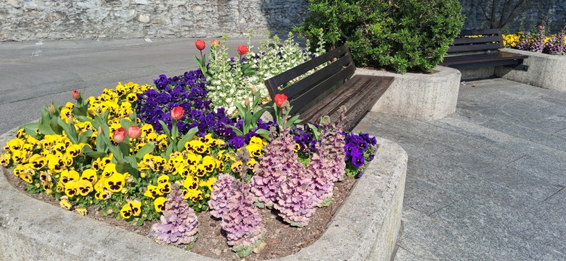 Lake Como Flowers 3