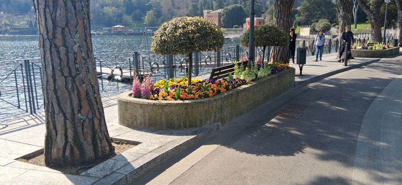 Lake Como Flowers 4