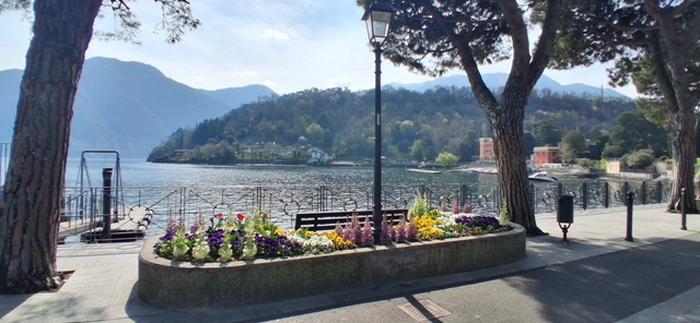Lake Como Flowers 5
