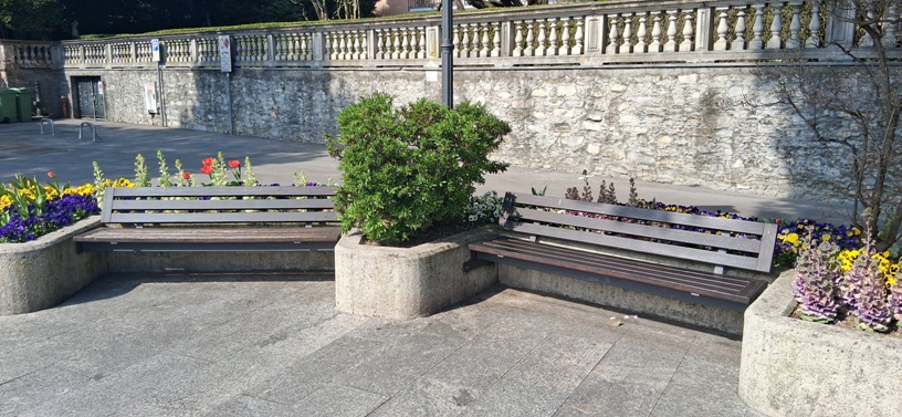 Lake Como Flowers 6
