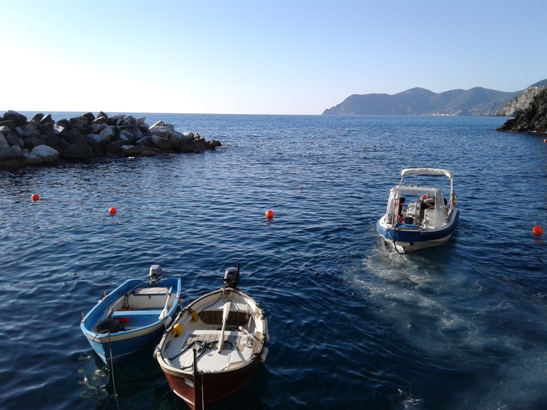 Manarola 2