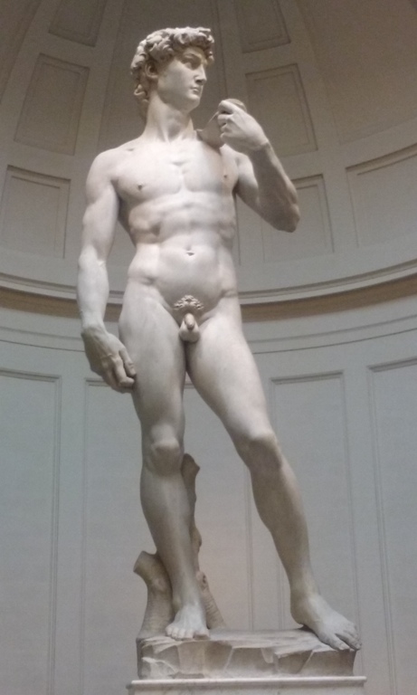 Michelangelo's David
