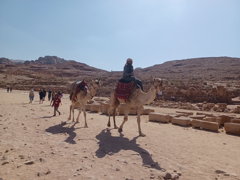 Petra Camels