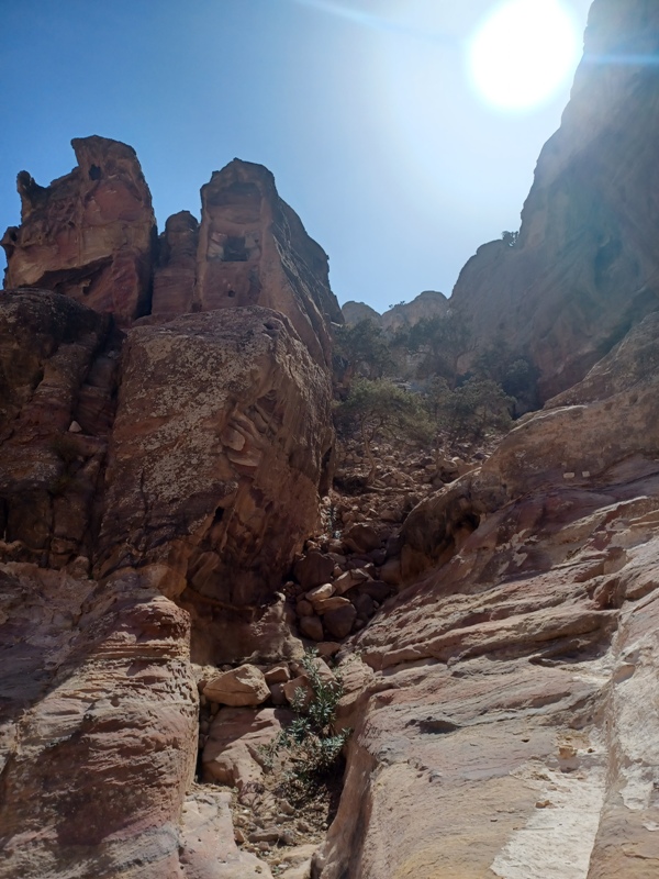 Petra Greenery on Monastery Trail
