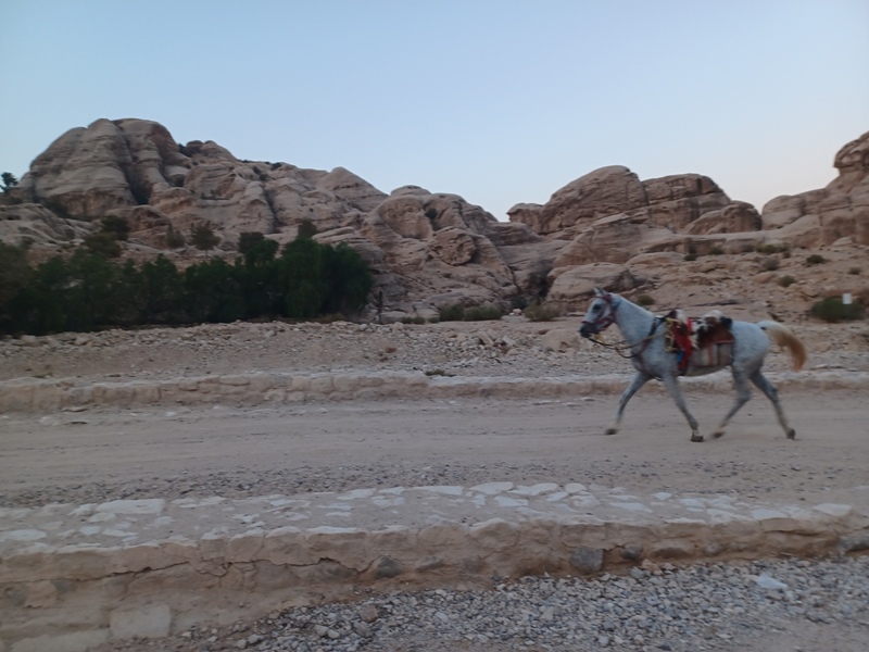 Road to the Siq