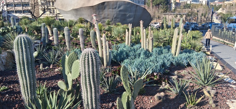 La Tête Carrée Garden