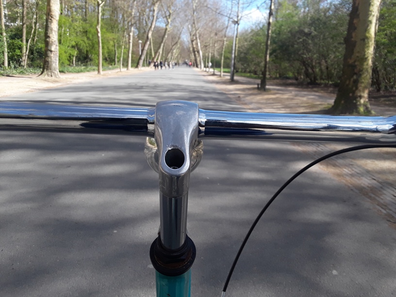 Vondelpark 6