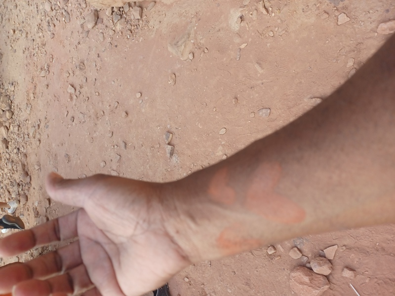 Wadi Rum Cosmeticc on Arm
