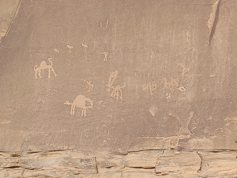 Wadi Rum Petroglyphs 1